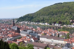 Abb. 6: Aussicht über Heidelberg vom Schloss aus (Foto: Matthias Appelt)