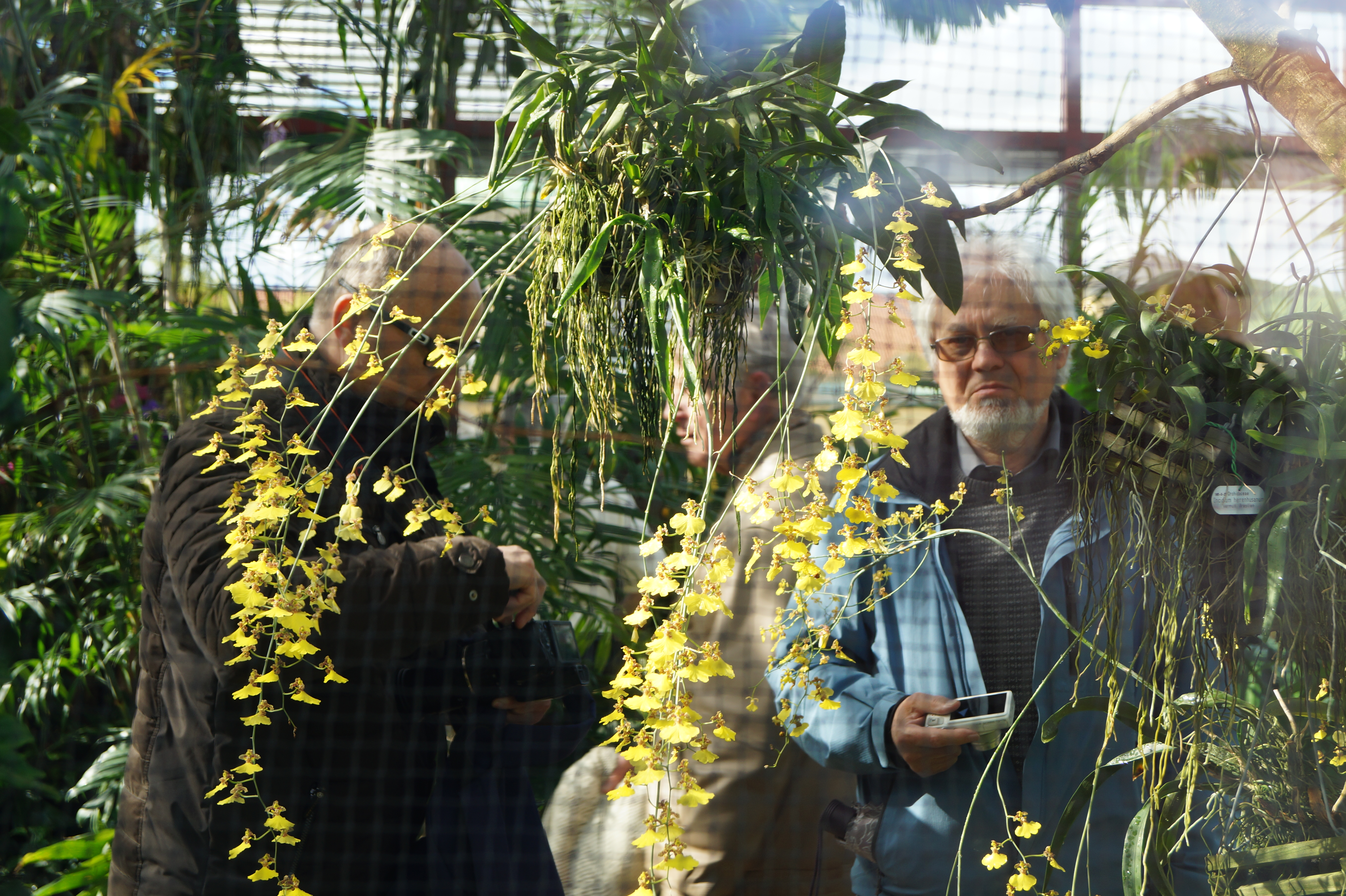 Abb. 3: Im Orchideenhaus oder doch davor? (Foto: Florian Weida)