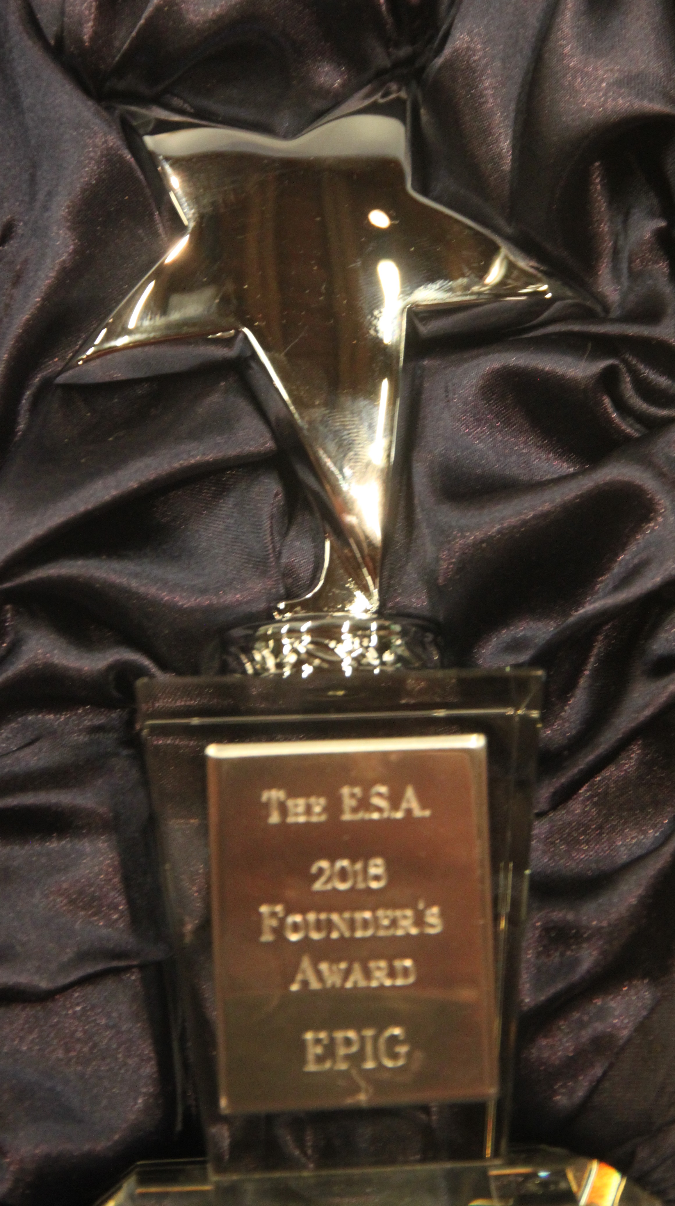 Der neu gestaltete Founder’s Award der ESA in seiner Schatulle (Foto: Heinz Peter Mohrdieck)